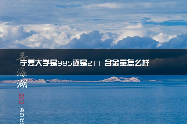 宁夏大学是985还是211 含金量怎么样
