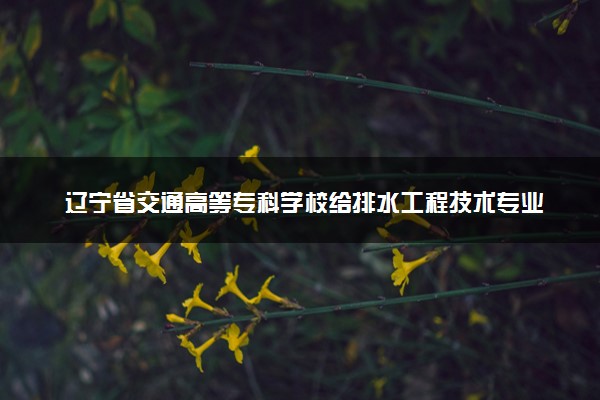 辽宁省交通高等专科学校给排水工程技术专业怎么样 录取分数线多少
