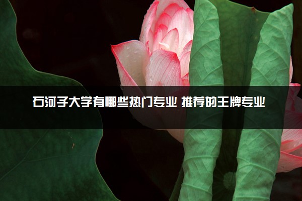 石河子大学有哪些热门专业 推荐的王牌专业