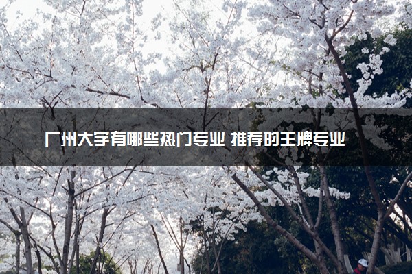 广州大学有哪些热门专业 推荐的王牌专业