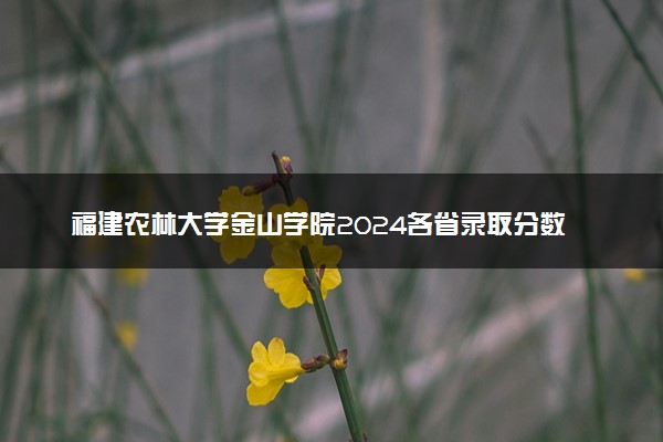 福建农林大学金山学院2024各省录取分数线及最低位次是多少