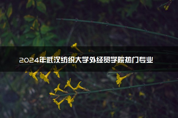 2024年武汉纺织大学外经贸学院热门专业全国排名 有哪些专业比较好