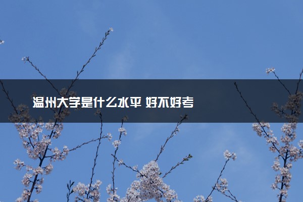 温州大学是什么水平 好不好考