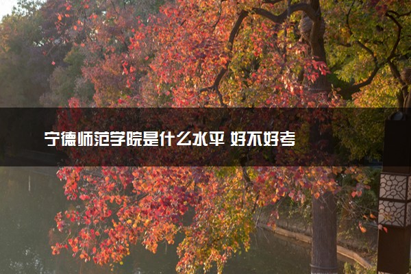 宁德师范学院是什么水平 好不好考