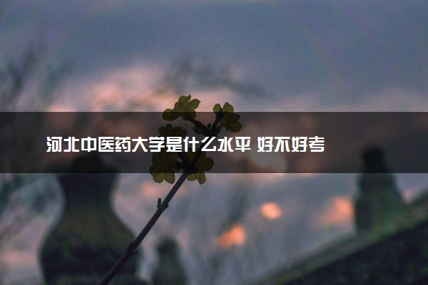 河北中医药大学是什么水平 好不好考