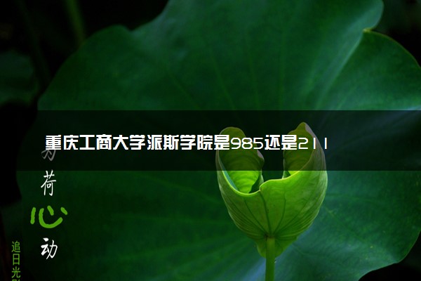 重庆工商大学派斯学院是985还是211 含金量怎么样