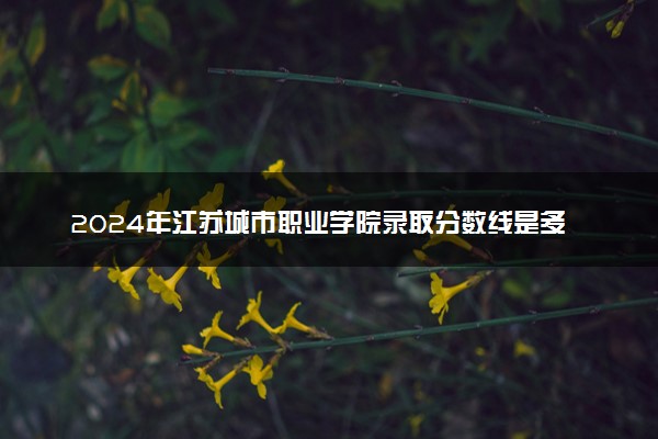 2024年江苏城市职业学院录取分数线是多少 各省最低分数线及位次