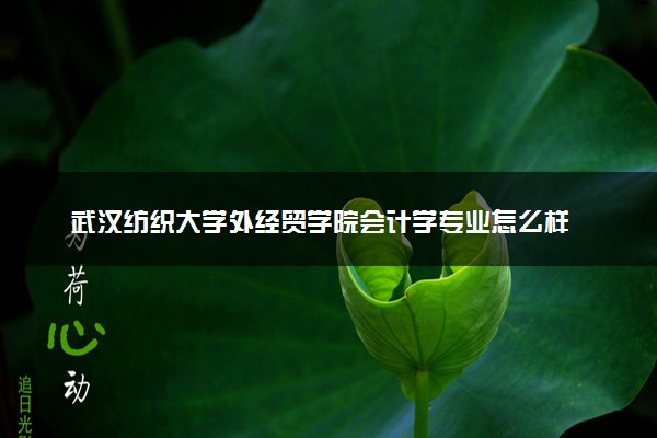 武汉纺织大学外经贸学院会计学专业怎么样 录取分数线多少