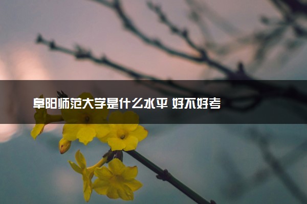 阜阳师范大学是什么水平 好不好考