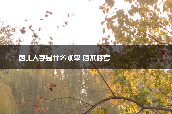 西北大学是什么水平 好不好考