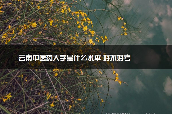 云南中医药大学是什么水平 好不好考