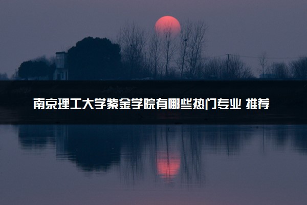 南京理工大学紫金学院有哪些热门专业 推荐的王牌专业