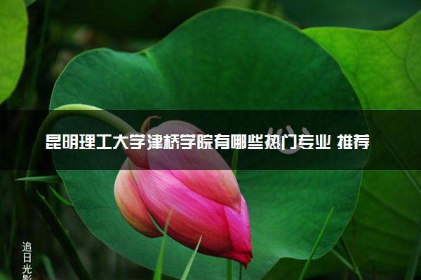 昆明理工大学津桥学院有哪些热门专业 推荐的王牌专业