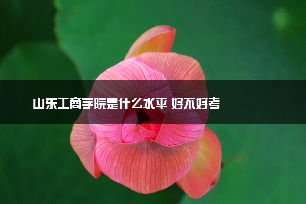山东工商学院是什么水平 好不好考