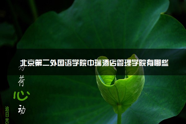 北京第二外国语学院中瑞酒店管理学院有哪些热门专业 推荐的王牌专业
