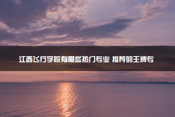 江西飞行学院有哪些热门专业 推荐的王牌专业