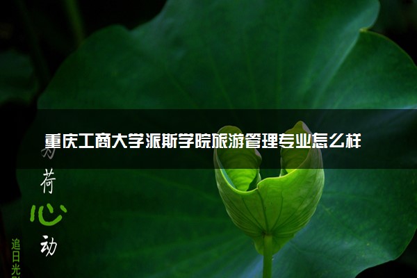 重庆工商大学派斯学院旅游管理专业怎么样 录取分数线多少