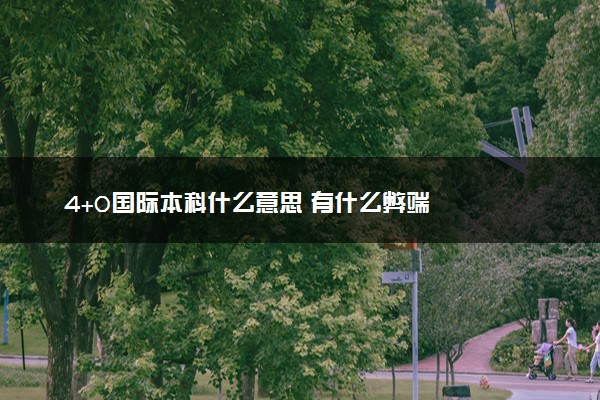 4+0国际本科什么意思 有什么弊端