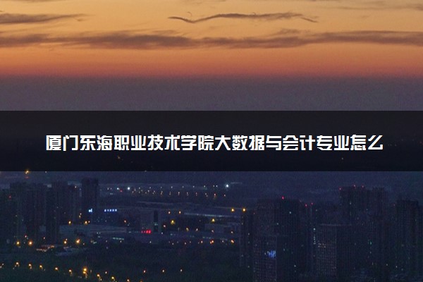 厦门东海职业技术学院大数据与会计专业怎么样 录取分数线多少