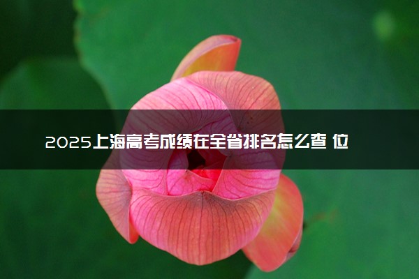 2025上海高考成绩在全省排名怎么查 位次查询方法