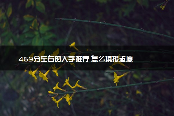 469分左右的大学推荐 怎么填报志愿