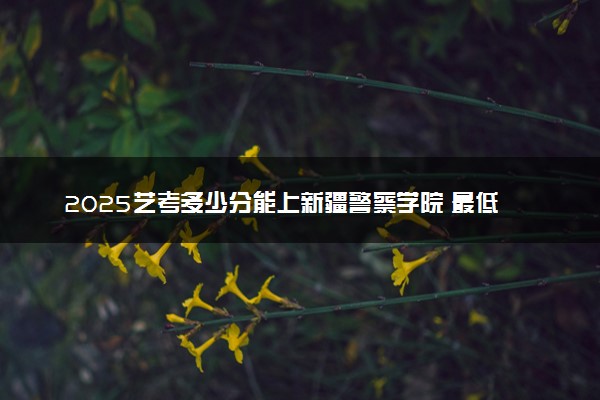 2025艺考多少分能上新疆警察学院 最低分数线是多少