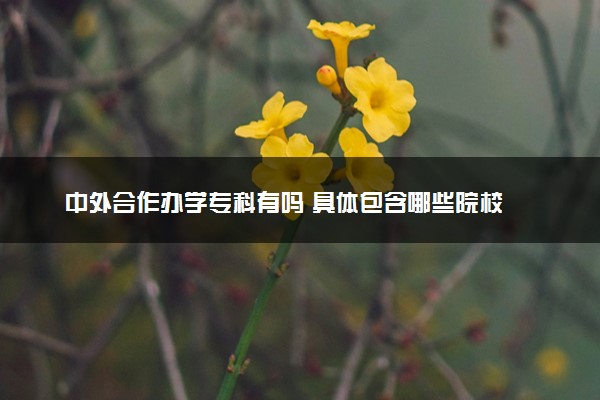 中外合作办学专科有吗 具体包含哪些院校