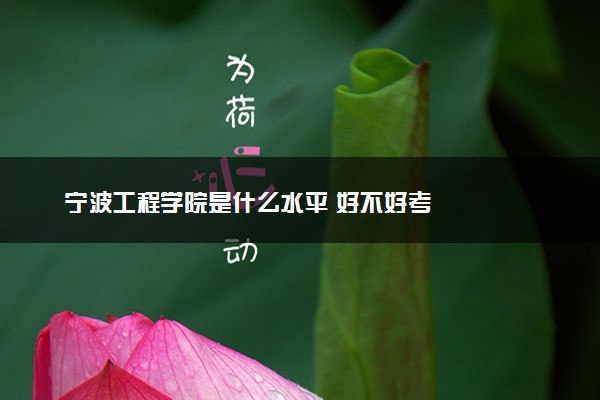 宁波工程学院是什么水平 好不好考