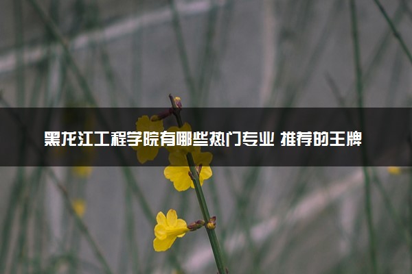 黑龙江工程学院有哪些热门专业 推荐的王牌专业
