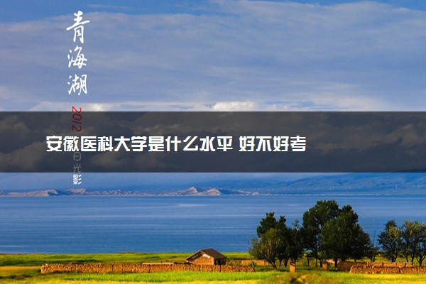 安徽医科大学是什么水平 好不好考