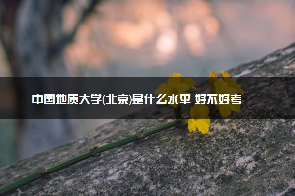 中国地质大学(北京)是什么水平 好不好考