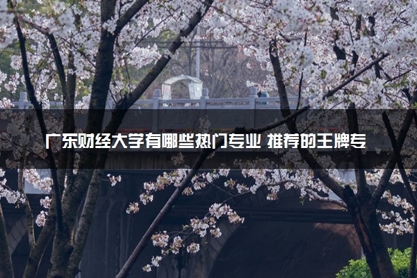 广东财经大学有哪些热门专业 推荐的王牌专业
