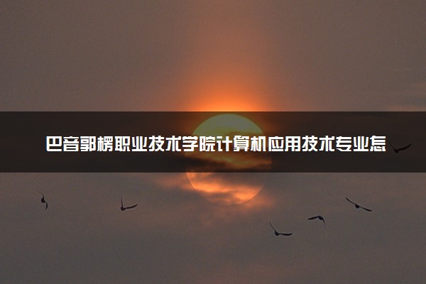 巴音郭楞职业技术学院计算机应用技术专业怎么样 录取分数线多少