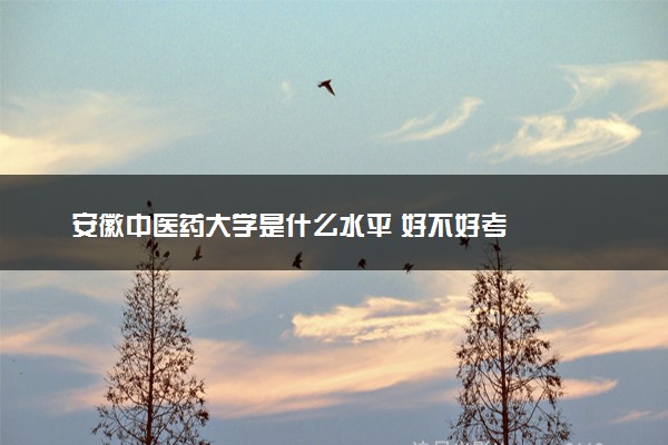 安徽中医药大学是什么水平 好不好考