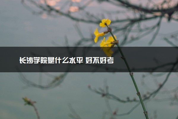 长沙学院是什么水平 好不好考
