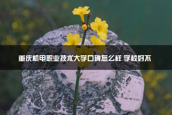 重庆机电职业技术大学口碑怎么样 学校好不好