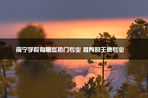 南宁学院有哪些热门专业 推荐的王牌专业