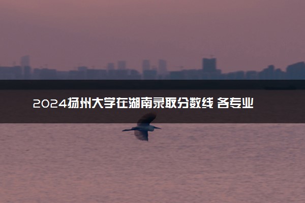 2024扬州大学在湖南录取分数线 各专业分数及位次