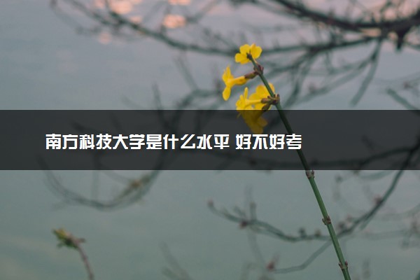 南方科技大学是什么水平 好不好考