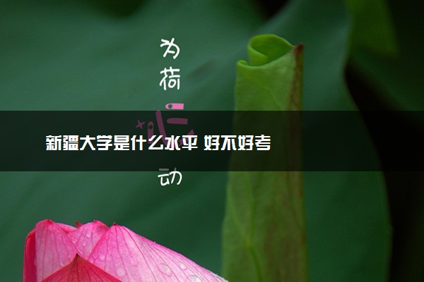 新疆大学是什么水平 好不好考