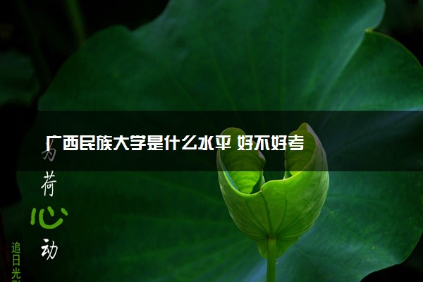 广西民族大学是什么水平 好不好考
