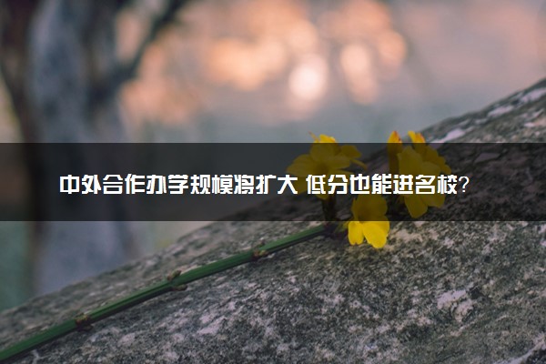 中外合作办学规模将扩大 低分也能进名校？