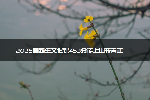 2025舞蹈生文化课453分能上山东青年政治学院吗