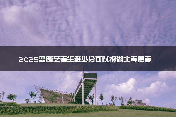 2025舞蹈艺考生多少分可以报湖北孝感美珈职业学院