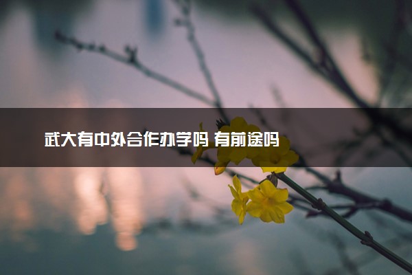 武大有中外合作办学吗 有前途吗