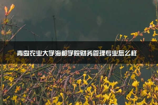 青岛农业大学海都学院财务管理专业怎么样 录取分数线多少