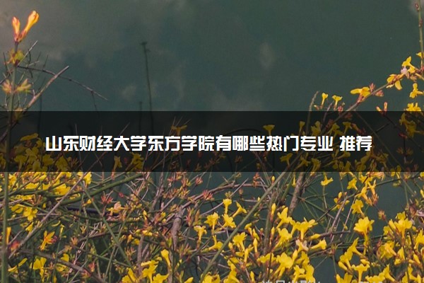 山东财经大学东方学院有哪些热门专业 推荐的王牌专业