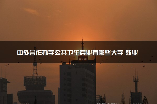 中外合作办学公共卫生专业有哪些大学 就业前景怎么样