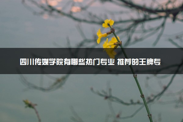 四川传媒学院有哪些热门专业 推荐的王牌专业