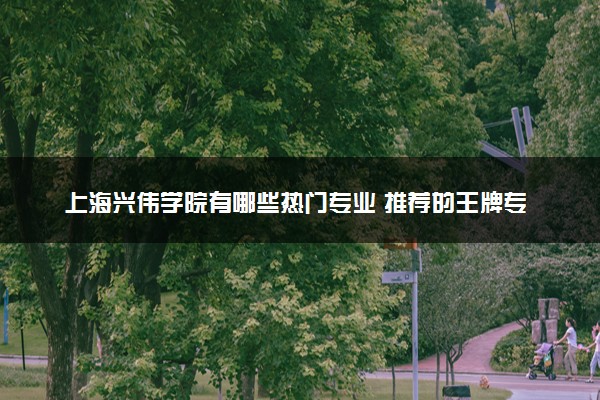 上海兴伟学院有哪些热门专业 推荐的王牌专业